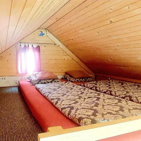 Tiny House Olivia Daire