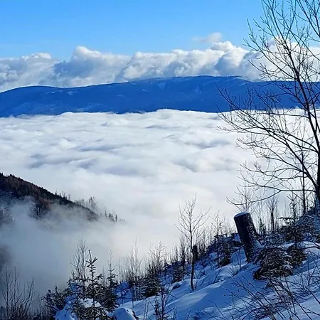 דירה Tiny House Olivia