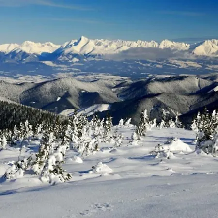 דירה Tiny House Olivia