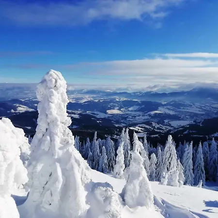 Daire Tiny House Olivia